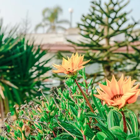 Marta Bed & Breakfast Ercolano